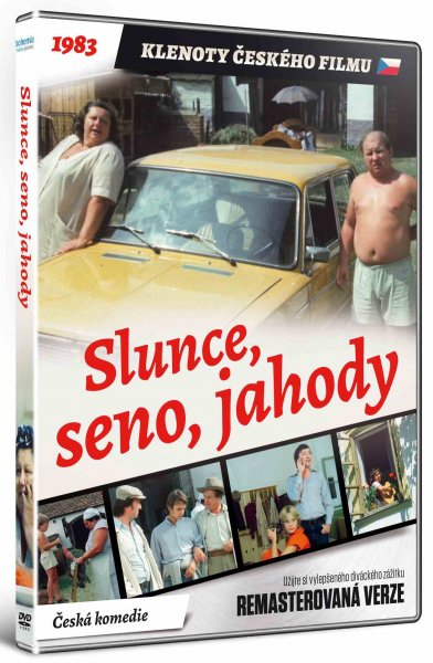 detail Slunce, seno, jahody (Remasterovaná verze) - DVD