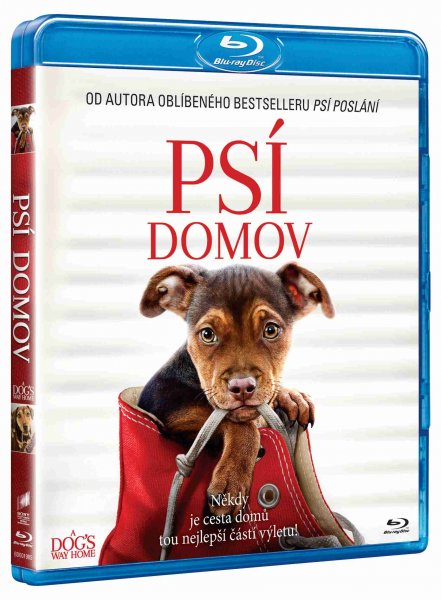 detail Psí domov - Blu-ray