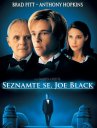 nahlad Seznamte se, Joe Black - DVD