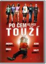 nahlad Po čem kluci touží - DVD