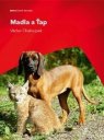 nahlad Madla a Ťap - DVD