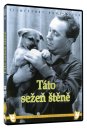 nahlad Táto sežeň štěně - DVD