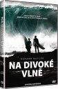 nahlad Na divoké vlně - DVD