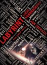 nahlad Labyrint (2012) - DVD