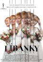 nahlad Líbánky - DVD