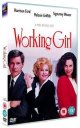 nahlad Podnikavá dívka - DVD