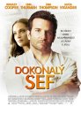 nahlad Dokonalý šéf - DVD