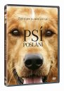 nahlad Psí poslání - DVD