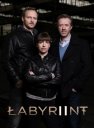 nahlad Labyrint - 2. série - 2 DVD
