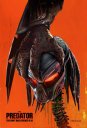 nahlad Predátor: Evolúcia - DVD