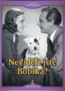 nahlad Neviděli jste Bobíka? - DVD Digipack