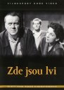 nahlad Zde jsou lvi - DVD