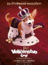 nahlad Psí veličenstvo Corgi - DVD