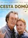 nahlad Cesta domů - DVD