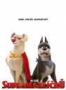 nahlad DC Liga superzvierat - DVD