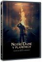 nahlad Notre-Dame v plamenech - DVD