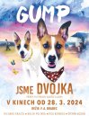 nahlad Gump: Sme dvojka - DVD