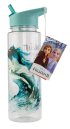 nahlad Lahev Frozen 2 - 650 ml