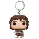 nahlad Klíčenka Funko POP! Lord of the Rings - Frodo