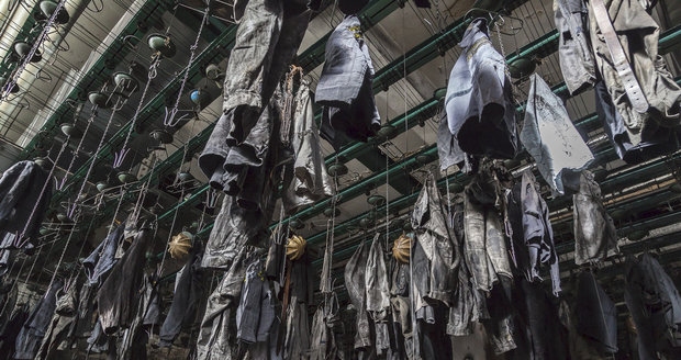 detail Dukla 61 - DVD