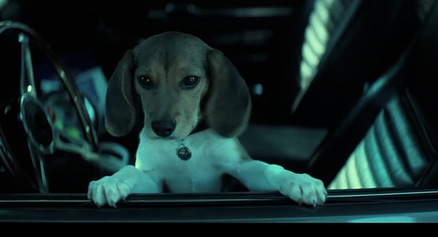 detail John Wick - DVD
