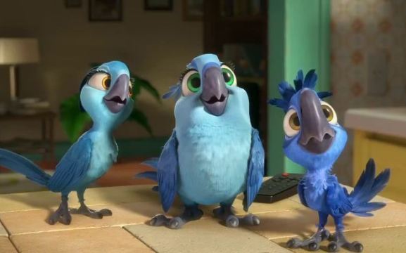 detail RIO 2 - DVD