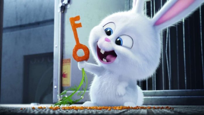 detail Tajný život mazlíčků - Blu-ray 3D + 2D (2 BD)
