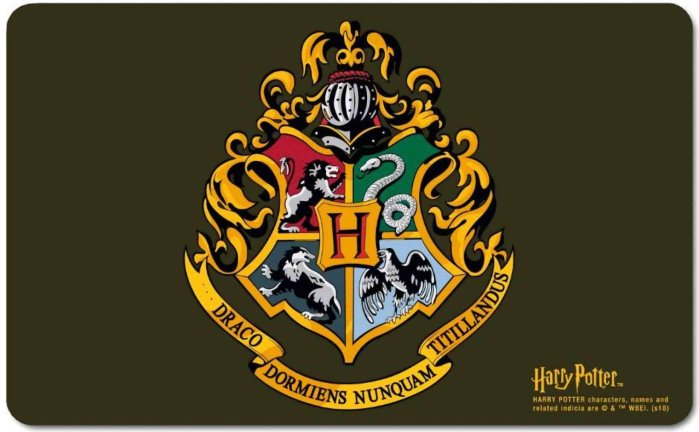 detail Podložka na jídelní stůl - Harry Potter