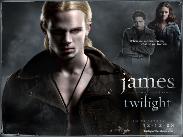 detail Twilight Sága: Zatmění - 2 DVD