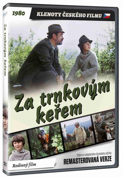 detail Za trnkovým keřem (remasterovaná verze) - DVD