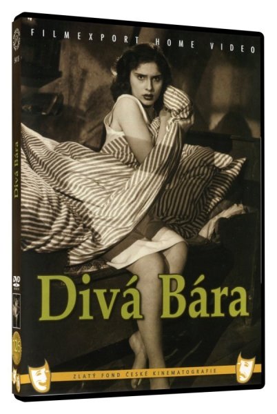 detail Divá bára - DVD