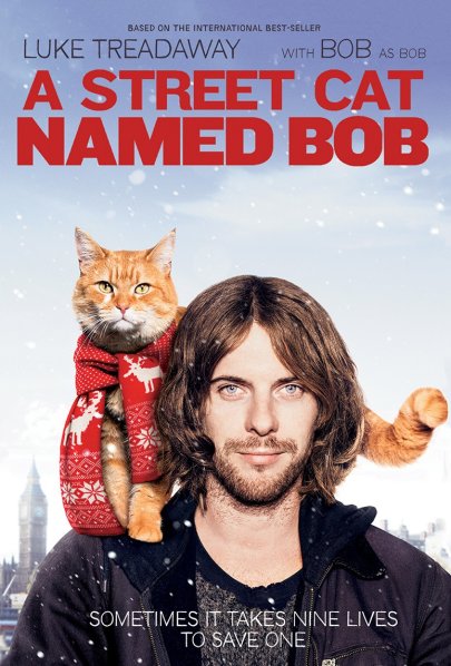 detail Kocour bob - DVD
