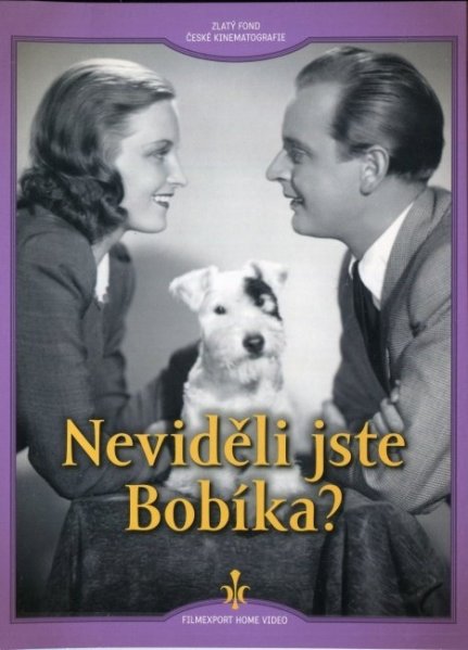 detail Neviděli jste Bobíka? - DVD Digipack