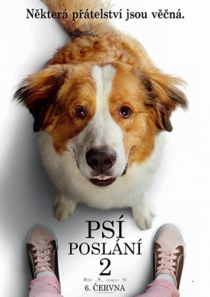 detail Psí poslání 2 - DVD