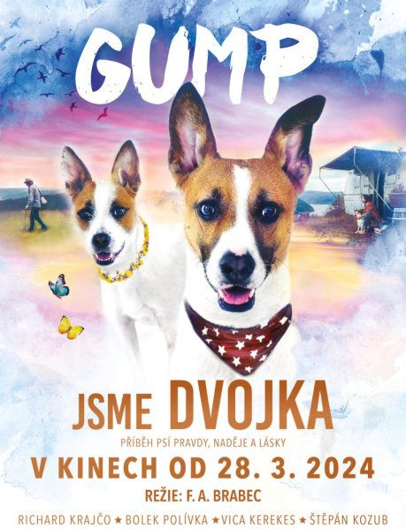 detail Gump: Sme dvojka - DVD
