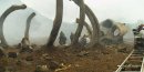 nahlad Kong: Ostrov lebek - Blu-ray 3D + 2D