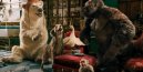 nahlad Dolittle - 4K Ultra HD Blu-ray + Blu-ray (2BD)