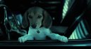 nahlad John Wick - Blu-ray