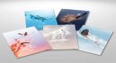 nahlad Dokonalá planéta - 4K UHD Blu-ray + Blu-ray (bez CZ)