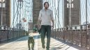 nahlad John Wick 2 - DVD