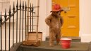 nahlad Paddington 2 - DVD