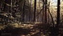 nahlad Blair Witch - PC