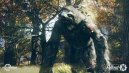 nahlad Fallout 76: Wastelanders - PS4