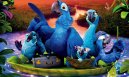 nahlad RIO 2 - DVD