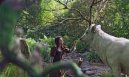 nahlad Snehulienka a lovec - Blu-ray