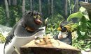 nahlad DIVOKÉ VLNY - Blu-ray