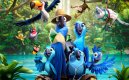 nahlad RIO 2 - DVD