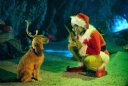 nahlad Grinch - DVD