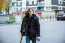 nahlad Kocour bob - DVD
