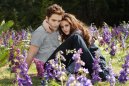 nahlad Twilight sága: Rozbřesk - 2. část - Blu-ray